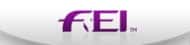 FEI Logo
