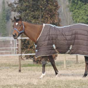 Pferd mit Decke auf der Weide