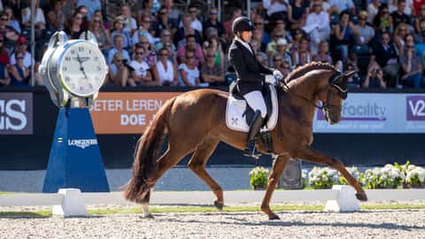 Beste Spielothek in Dreye finden Beste Spielothek in Dreye finden