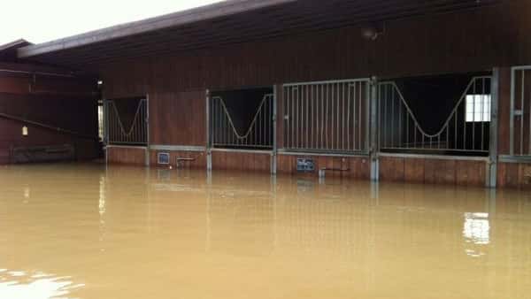 Hochwasser in Gera