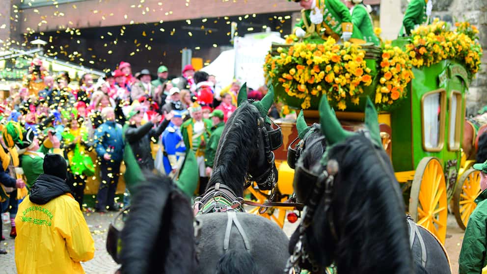 Kutschpferde im Kölner Karneval 2017