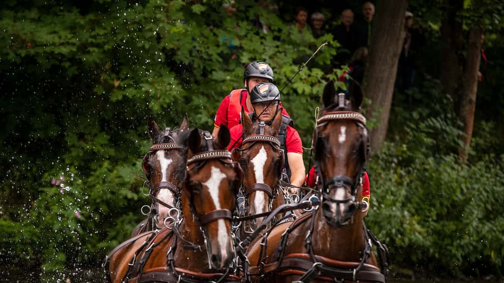 Christoph Sandmann, hier bei der EM Donaueschingen 2019, gehört mit zum Organisationsteam der Pferdesportgemeinschaft Lähden. 