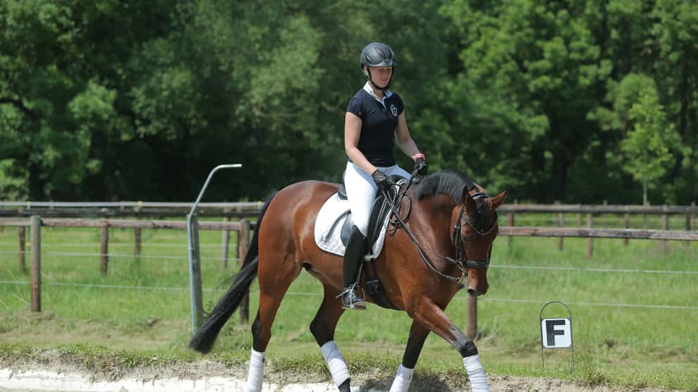 Kopfhaltung des Reiters