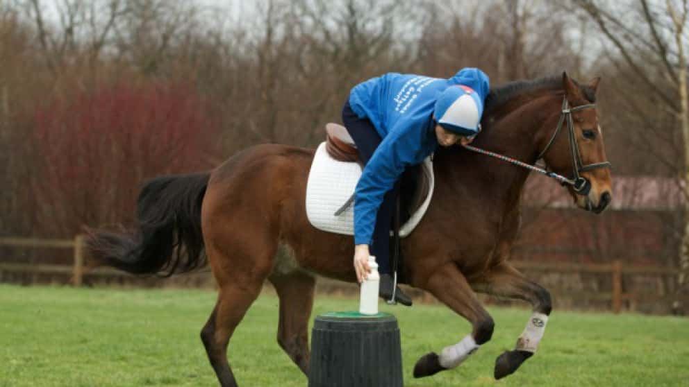 Pony-Action